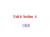 Unit6SectionA习题课课件人教版新目标英语八年级下册