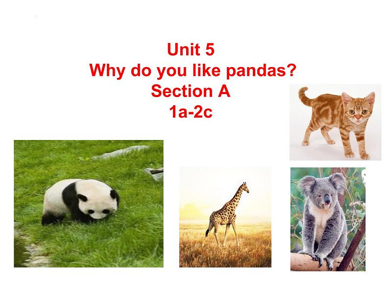 Unit5WhydoyoulikepandasSectionA（1a-2c）课件人教版七年级英语下册第1页