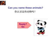 Unit5WhydoyoulikepandasSectionA（1a-2c）课件人教版七年级英语下册