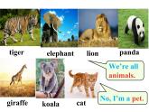 Unit5WhydoyoulikepandasSectionA（1a-2c）课件人教版七年级英语下册