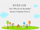 Unit5SectionAGrammarFocus-3c课件人教版七年级英语下册