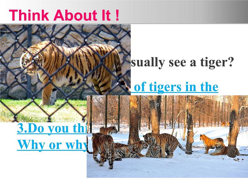 冀教版（三起）英语八年级下册 Lesson 17 Save the Tigers(2)（课件）02