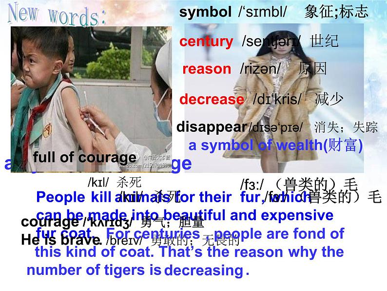 冀教版（三起）英语八年级下册 Lesson 17 Save the Tigers（课件）第4页