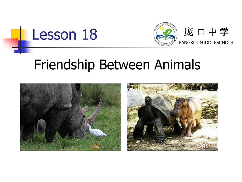 冀教版（三起）英语八年级下册 Lesson 18 Friendship Between Animals（课件）07