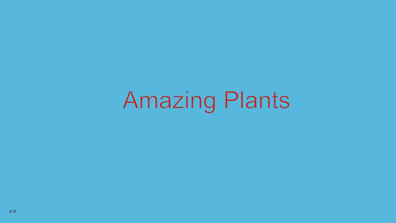 冀教版（三起）英语八年级下册 Lesson 11 Amazing Plants（课件）第7页