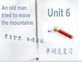 Unit6单词总复习课件人教版新目标英语八年级下册