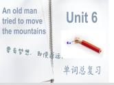Unit6单词总复习课件人教版新目标英语八年级下册