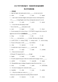 2022年中考英语备考--易混形容词和副词辨析变式专项测试题