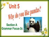 Unit5SectionA(GrammarFocus-3c)课件人教版七年级英语下册
