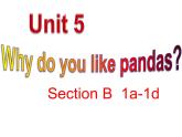 Unit5SectionB1a-1d课件人教版七年级英语下册