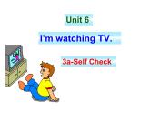 Unit6SectionB3a—3bSelfcheck课件人教版七年级英语下册