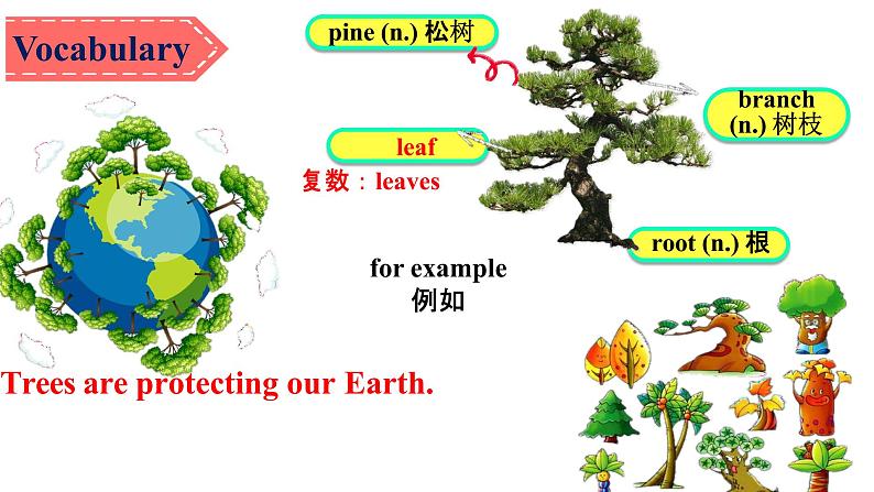 Unit4savethetreesreading课件牛津深圳版英语七年级下册第5页