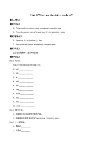 初中英语鲁教版 (五四制)八年级下册Section B第三课时教案设计