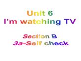 Unit6SectionB3a-Selfcheck课件人教版七年级英语下册