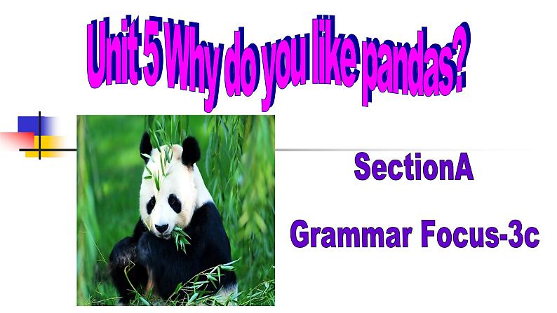 Unit5SectionA(GrammarFocus-3c)课件人教版七年级英语下册第1页