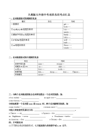 2022年人教版九年级中考英语-名词讲练学案