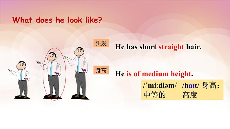 Unit 9 What does he look like_ Section A 1a-2d  课件教案07