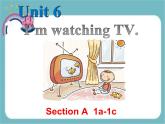人教版七年级英语下册Unit 6 Section A 1a-1c课件