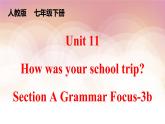 Unit 11 How was your school trip_ Section A Grammar Focus-3b  课件