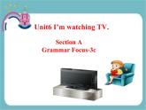 人教版七年级英语下册Unit 6 Section A Grammar Focus-3c课件