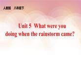 Unit 5 What were you doing when the rainstorm came_ Section A (1a-2d)  课件+音视频