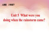 Unit 5 What were you doing when the rainstorm came_ Section A (1a-2d)  课件+音视频