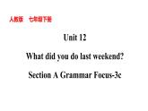Unit 12 What did you do last weekend_ Section A Grammar Focus-3c  课件