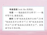 七年级英语下册Unit9Whatdoeshelooklike课件1新版人教新目标版_159