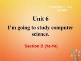 【人教版】八年级英语上册ppt教学课件：Unit 6 Section B (1a-1e)