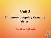 【人教版】八年级英语上册ppt教学课件：Unit 3 Section B (2a-2e)