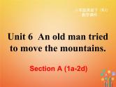 【人教版】新目标八下ppt课件Unit 6  Section A 第一课时