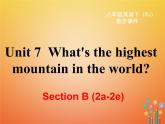 【人教版】新目标八下ppt课件Unit 7  Section B 第四课时
