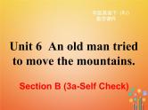 【人教版】新目标八下ppt课件Unit 6  Section B 第五课时