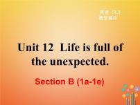 英语九年级全册Unit 12 Life is full of the unexpectedSection B教学课件ppt