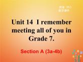 【人教版】九年级英语上册ppt教学课件Unit 14 Section A (3a-4c)