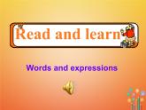 【人教版】九年级英语上册ppt教学课件Unit 14 Section A (1a-2d)