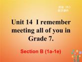 【人教版】九年级英语上册ppt教学课件Unit 14 Section B (1a-1e)