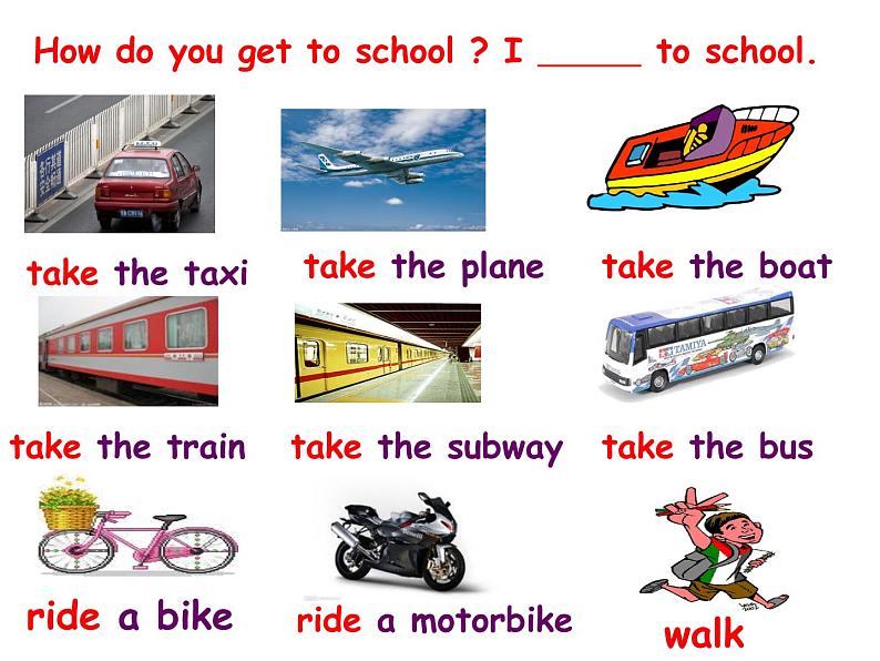 人教新目标(Go for it)版英语七年级下 Unit3 How do you get to school？ 课件第7页