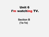 Unit6SectionB1a-1e课件人教版七年级英语下册