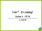 Unit7It’srainingSectionAGrammarFocus-3b课件人教版英语七年级下册