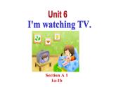 Unit6SectionA1（1a-1b）课件人教版七年级英语下册
