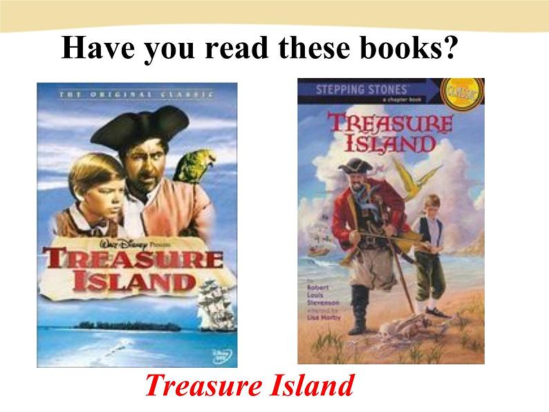 人教新目标（Go for it)版英语八年级下册 Unit 8 Have you read  Treasure Island yetSection A(10)（课件）05