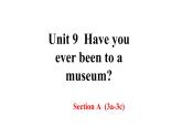 人教新目标（Go for it)版英语八年级下册 Unit 9 Have you ever been  to a museum   Section A(3a-3c)（课件）