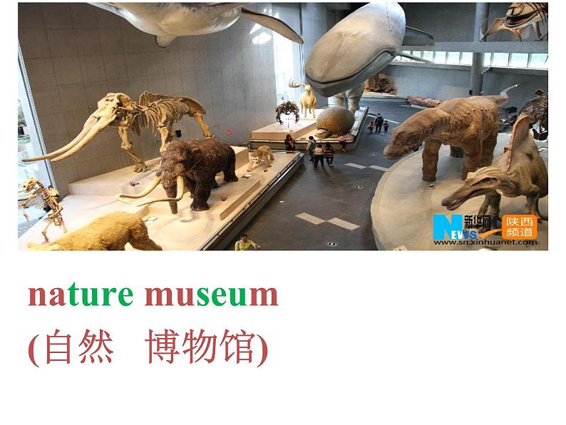 人教新目标（Go for it)版英语八年级下册 Unit 9 Have you ever been  to a museum Section A（课件）08