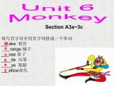 人教新目标（Go for it)版英语八年级下册 Unit 6  Monkey(sectionA 3a-3c)（课件）