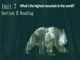 人教新目标（Go for it)版英语八年级下册 Unit 7 what's the highest mountain in the word 阅读课---熊猫--（课件）