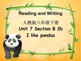 人教新目标（Go for it)版英语八年级下册 Unit 7 what's the highest mountain in the word  Section B 2b I like pandas.（课件）