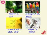 人教新目标（Go for it)版英语八年级下册 Unit 7 What’s the highest mountain in the world(5)（课件）