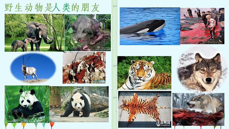 人教新目标（Go for it)版英语八年级下册 Unit 7 what 's the highest mountain in the word Animals need your help  Writing（课件）第2页