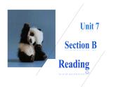 人教新目标（Go for it)版英语八年级下册 Unit 7 what's the highest mountain in the word Reading阅读课（课件）